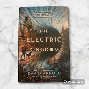 The Electric Kingdom Book YA